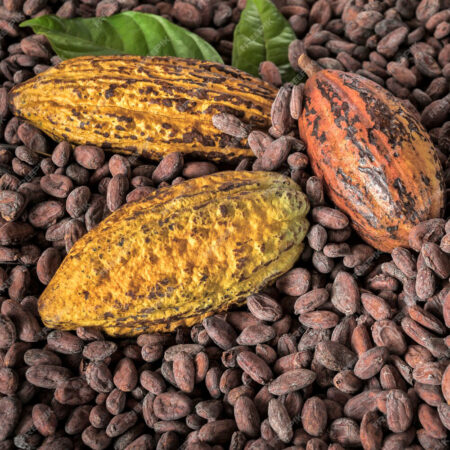 Pepa de Cacao